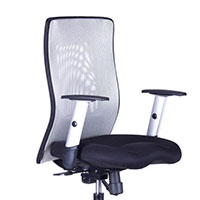 Kancelářská židle Calypso XL BP - Šedá