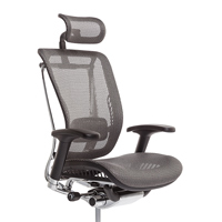 Kancelářská židle Lacerta - Antracit
