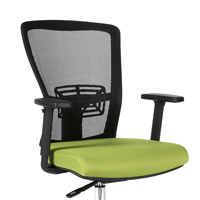 Kancelářská židle Themis BP - Zelená