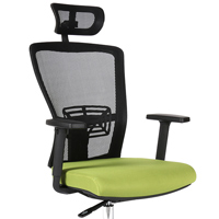Kancelářská židle Themis SP - Zelená